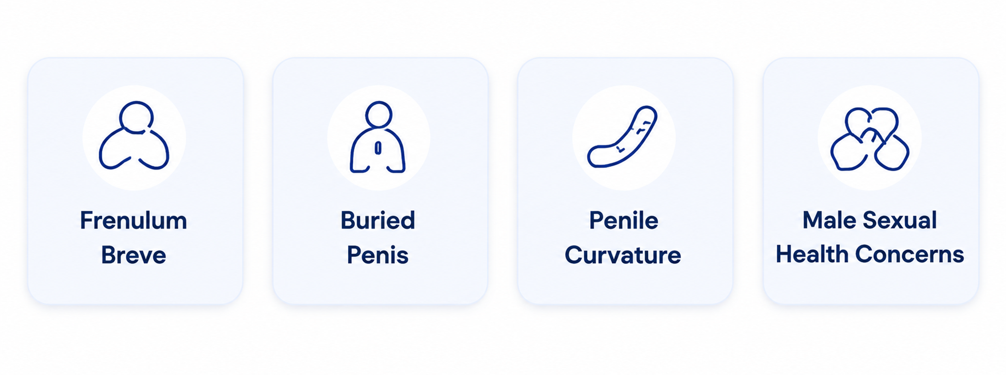 Four men’s urology condition cards: frenulum breve, buried penis, penile curvature, and male sexual health concerns.