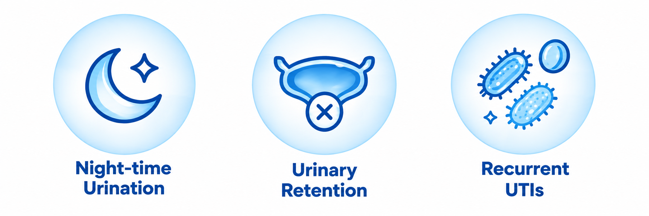 BPH symptoms including night-time urination, urinary retention, and recurrent urinary tract infections