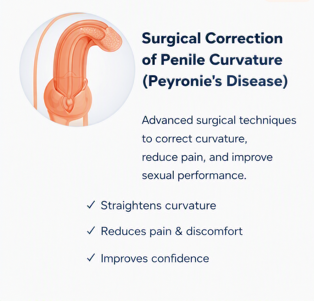 Medical diagram showing correction of penile curvature for Peyronie’s disease.